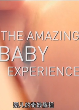 宝宝的奇妙旅程