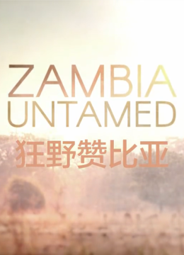 狂野赞比亚