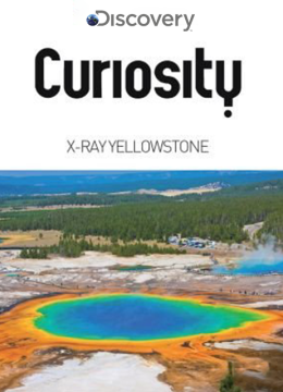 绝对好奇透视黄石公园