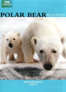 北极熊冰上侦探