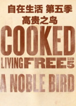 自在生活第5季