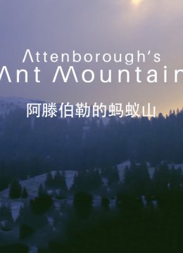 阿滕伯勒的蚂蚁山