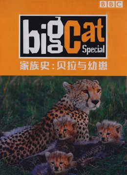大猫日语记家族史贝拉与幼崽