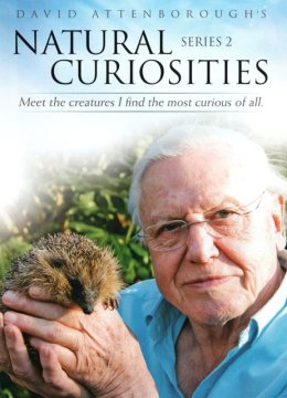 大卫爱登堡的自然奇迹第2季
