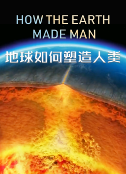 地球如何塑造人类