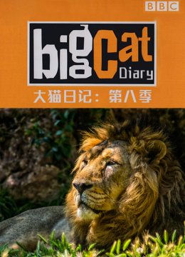 大猫日语记第8季