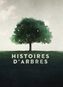 两棵树两个幸存者