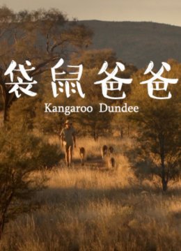袋鼠爸爸