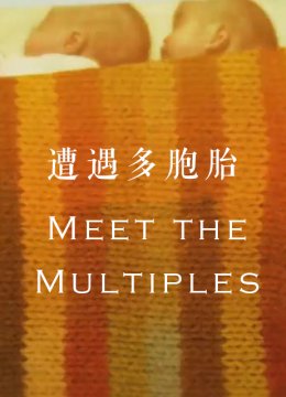 遭遇多胞胎