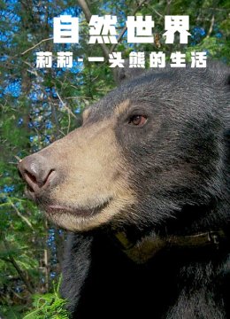 自然世界莉莉一头熊的生活