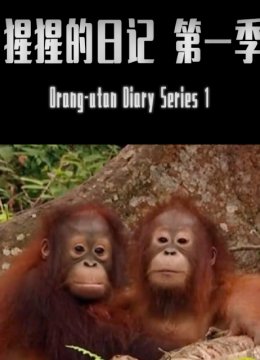 猩猩的日语记第1季