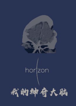 地平线我的神奇大脑