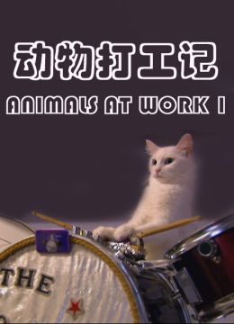 动物打工记第1季