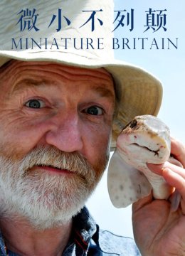 微小不列颠