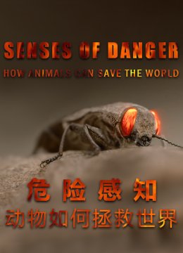 危险感知动物如何拯救世界