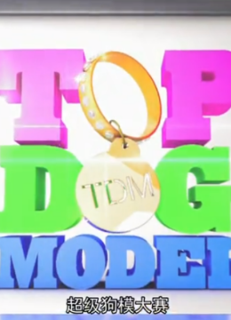 超级狗模大赛