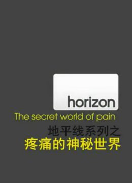 地平线系列疼痛的秘密