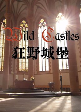 狂野城堡