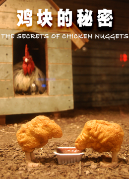 鸡块的秘密