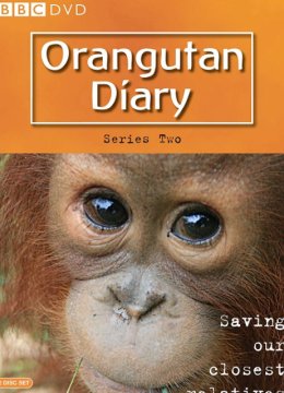 猩猩的日语记第2季