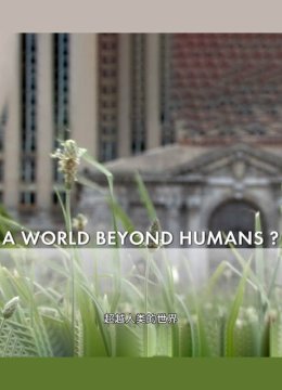 超越人类的世界