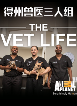得州兽医三人组