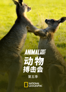 动物搏击会第5季