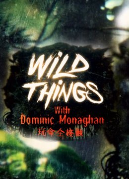 玩命全接触第3季