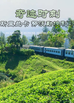 奇迹时刻斯里兰卡努沃勒埃利耶