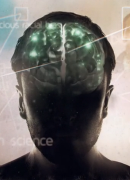 你是种族主义者吗