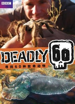 60种致命动物第3季