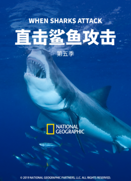 直击鲨鱼攻击第5季