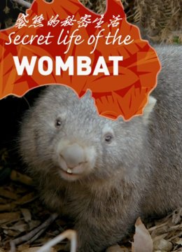 袋熊的秘密生活