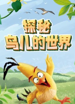 给孩子看的鸟儿的世界