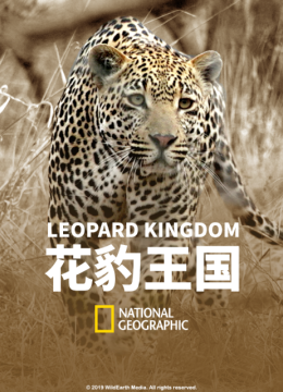花豹王国