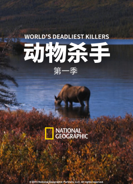 动物杀手第1季