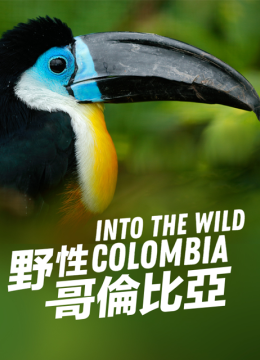 走进荒野哥伦比亚