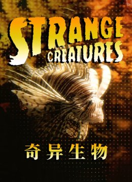 奇异生物第1季