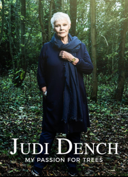 朱迪丹奇树之爱