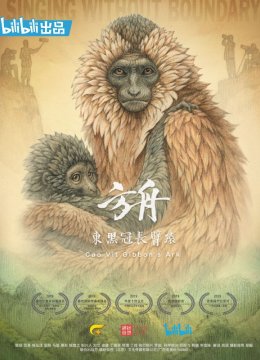 方舟东黑冠长臂猿