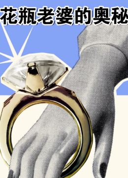 花瓶老婆的奥秘