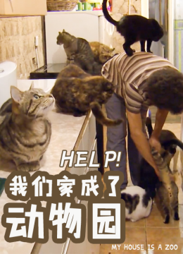 我们家成了动物园