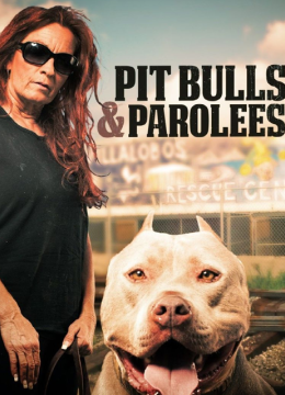 狗儿救援迎新生第10季