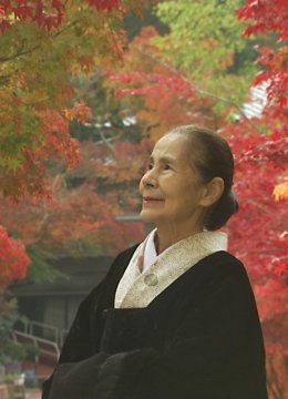 鹤子的茶道之旅