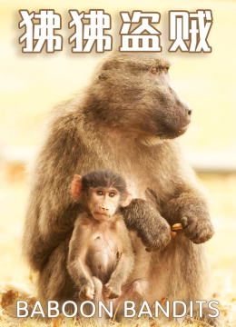 狒狒盗贼