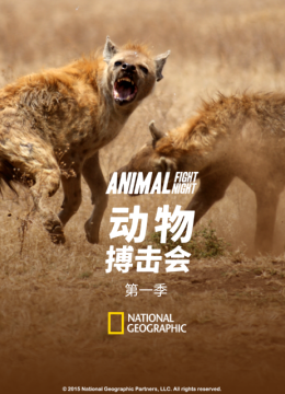 动物搏击会第1季
