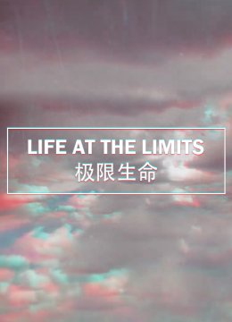 极限生命