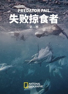 失败掠食者第1季