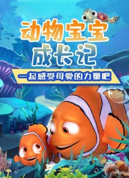 动物亲子乐园预告片