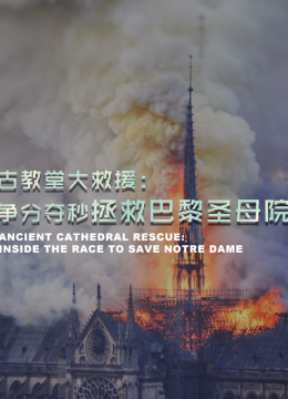 古教堂大救援争分夺秒拯救巴黎圣母院